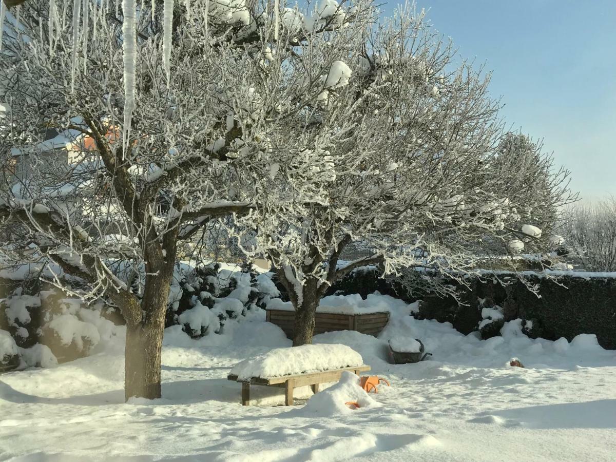 Haus Nohra Bed and Breakfast Sankt Michael im Lungau Εξωτερικό φωτογραφία